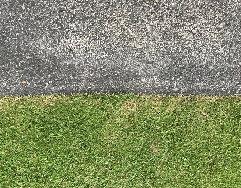 Grass with cement background