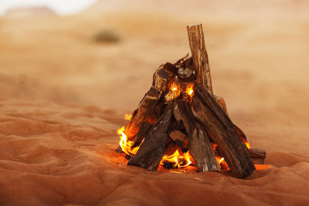 istock Beautiful bonfire in the desert 1369533765
