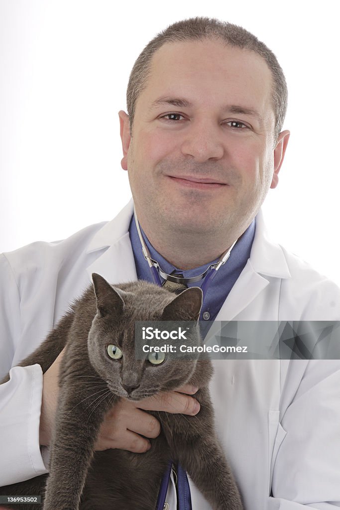 Veterinary with Cat Male vet holding a cat Animal Stock Photo