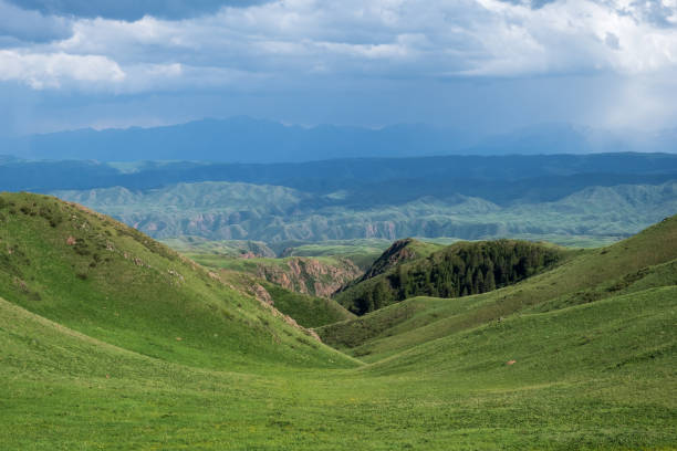 istock Beautiful green mountain valley with mountain ridge and cloudy sky background. Dramatic background. Beautiful summer landscape. 1369535115