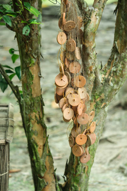 istock Hanging fishing nets on trees 1369538312