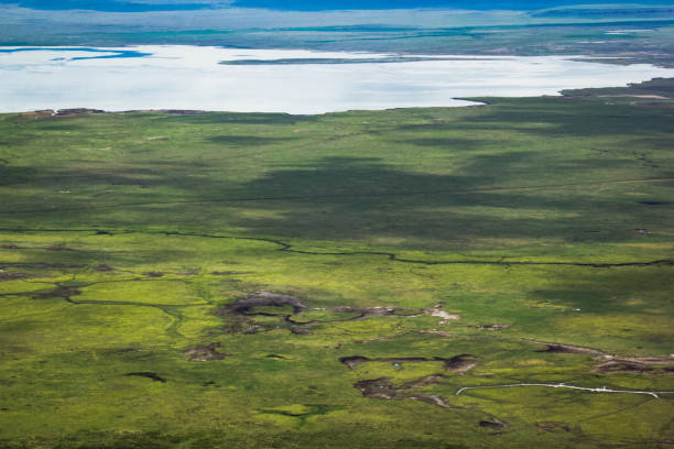 istock Ngorongoro Crater 1369538503