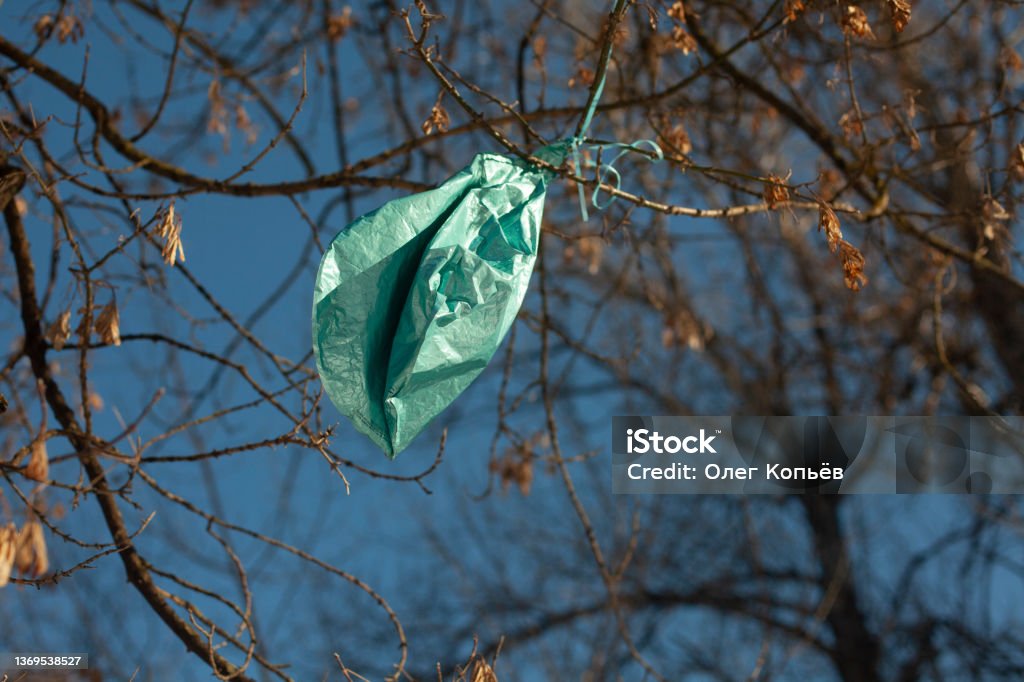 Balloon caught on branches. Deflated ball hangs from tree. Balloon caught on branches. Deflated ball hangs from tree. Sad association of past fun. Helium Stock Photo