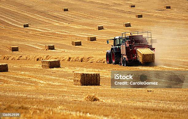 Golden Harvest Stockfoto und mehr Bilder von Agrarbetrieb - Agrarbetrieb, Ernten, Feld