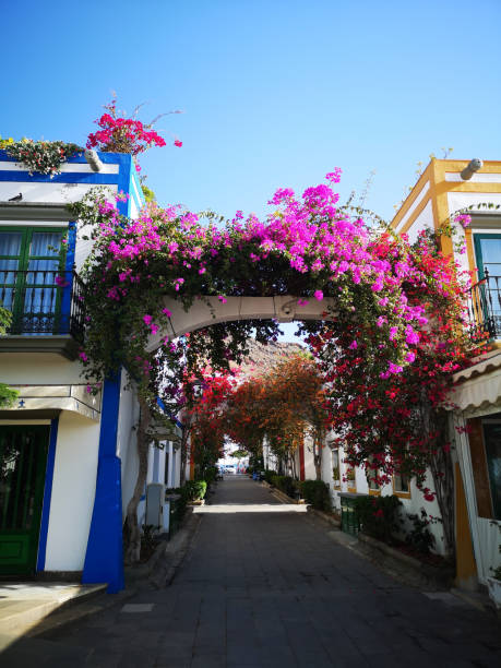 istock Flowers on a house wall 1369539513
