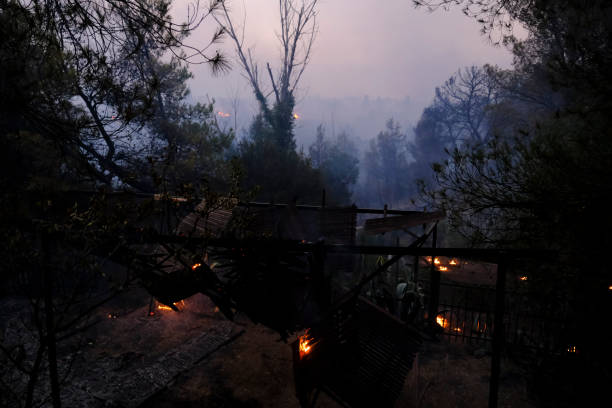 istock Flames rise as a wildfire burns 1369543060