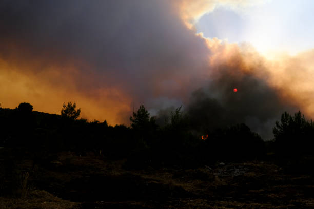 산불이 발생하면서 불길이 솟아오른다. - combusted 뉴스 사진 이미지