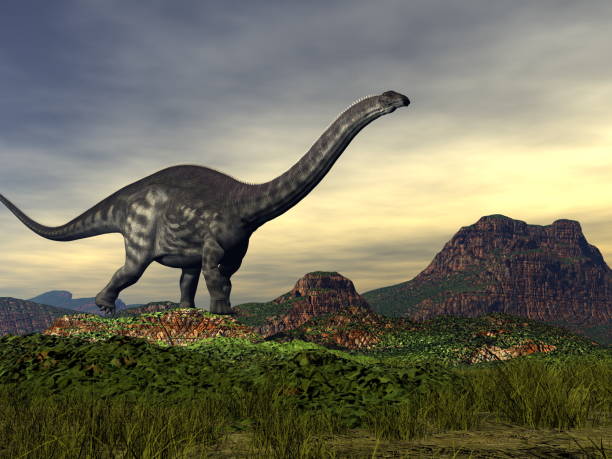 Apatosaurus dinosaur in the desert - 3D render stock photo