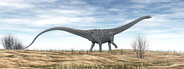 istock Diplodocus dinosaur in the desert - 3D render 1369543315
