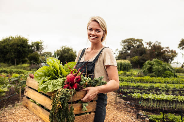 istock Self-sufficient female farmer holding a box with fresh produce 1369543440