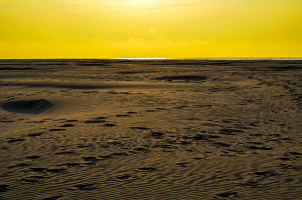 Footprint in sand dunes of a beach
