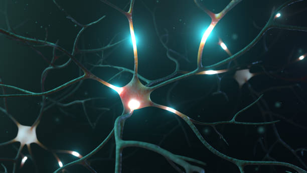 istock Neuron signal transfer from low to high activity 3D rendered 1369546512