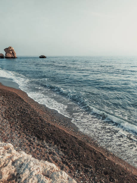 a beach with brown wet sand and pebbles. sandy shore in white beige color palette. seashore natural background. - sandy brown fotos imagens e fotografias de stock