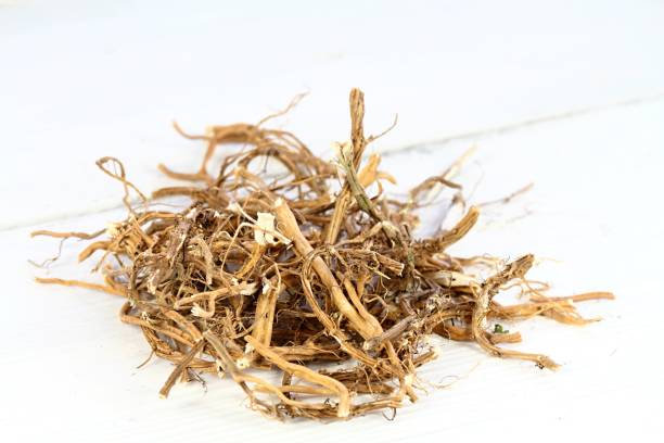 istock Dried nettle roots, Urtica diocica, on white background. 1369546606