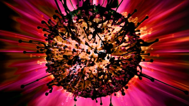istock Red and pink colour blotches against black background 1369550026