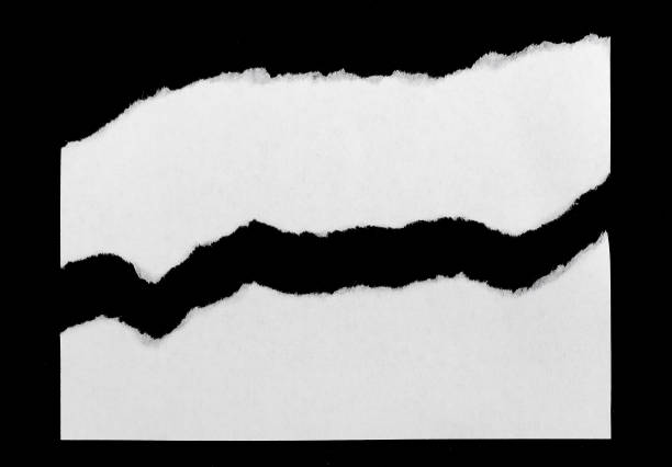 istock Torn ripped paper sheets. Pieces of white paper 1369550073