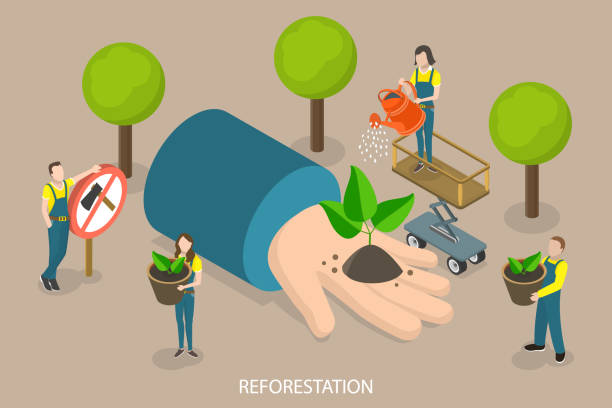 81 Stop Deforestation Concept Illustrations & Clip Art - iStock