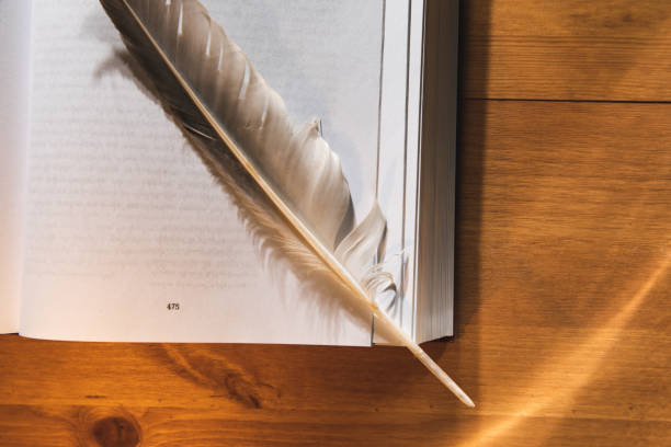 istock Feather with books on the wooden table 1369554571