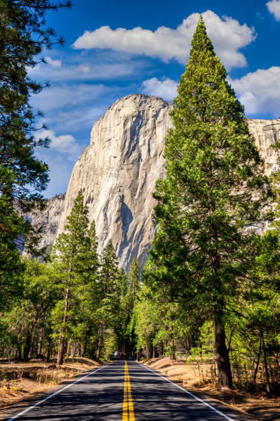 дорога в эль-капитан, как видно снизу - yosemite valley стоковые фото и изображения