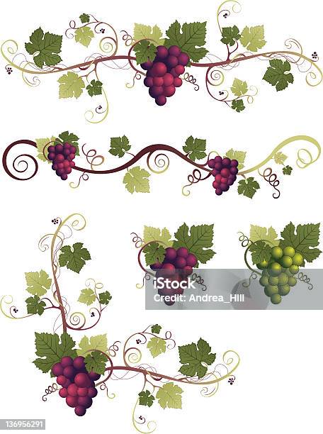 Grape Design Elements Stock Illustration - Download Image Now - Vine - Plant, Border - Frame, Grape