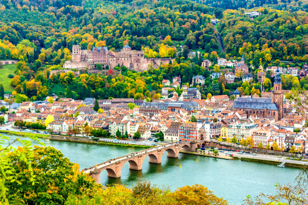 Heidelberg skyline aerial view from above Heidelberg skyline aerial view from above heidelberg germany photos stock pictures, royalty-free photos & images