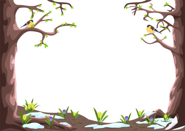 spring forest Vector illustration of a spring frame for a fairy tale background made of trees, crocuses, melting snow and birds in cartoon style on a white background. first day of spring stock illustrations