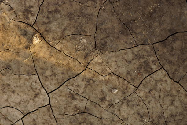 istock Wet brown ground in deep cracks close-up 1369567282