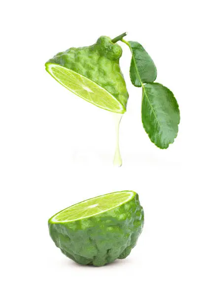 Bergamot fruit with essential oil extract drop dripping isolated on white background.