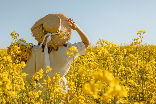 woman standing in rapeseed field rear view from behind summertime