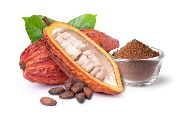istock Dried cocoa beans with powder 1369571460
