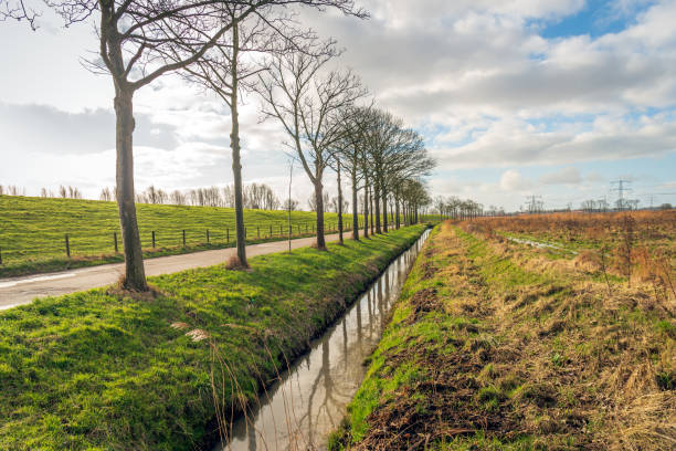 istock Colorful Dutch polder landscape 1369572171