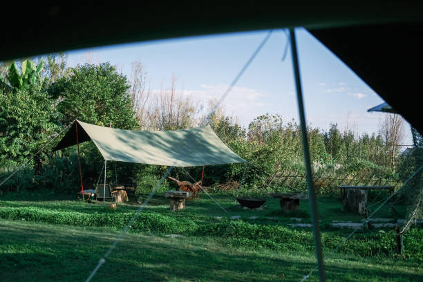 istock The lawn and canopy under the blue sky 1369572205
