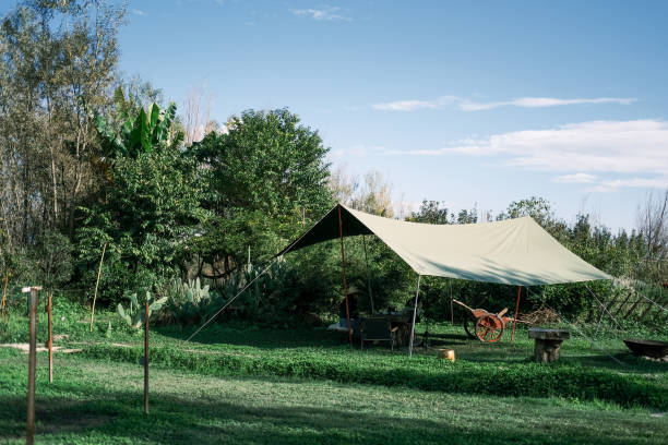 istock The lawn and canopy under the blue sky 1369572221