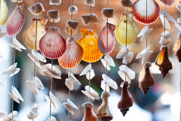 istock abstract colorful and shape of sea shell curtain (selective focus) 1369572661