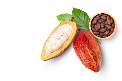 Fresh red cocoa pods with green leaves and cut in half sliced with dried cocoa beans in wooden bowl isolated on white background. Top view. Flat lay. Copy space.