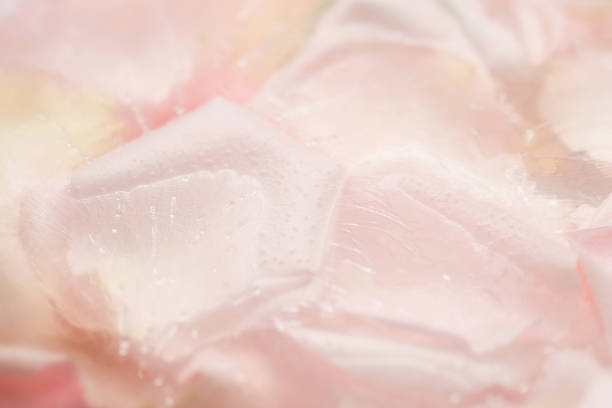 istock Frozen rose petals close up. 1369577268