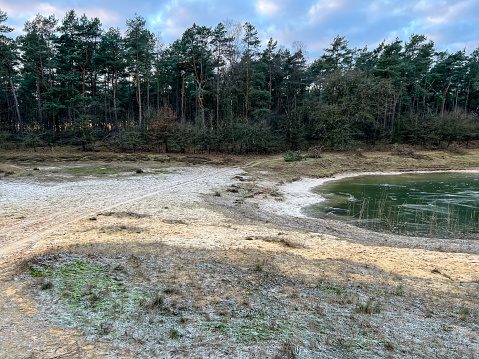 A small frozen lake in the heathland next to a forest in winter.