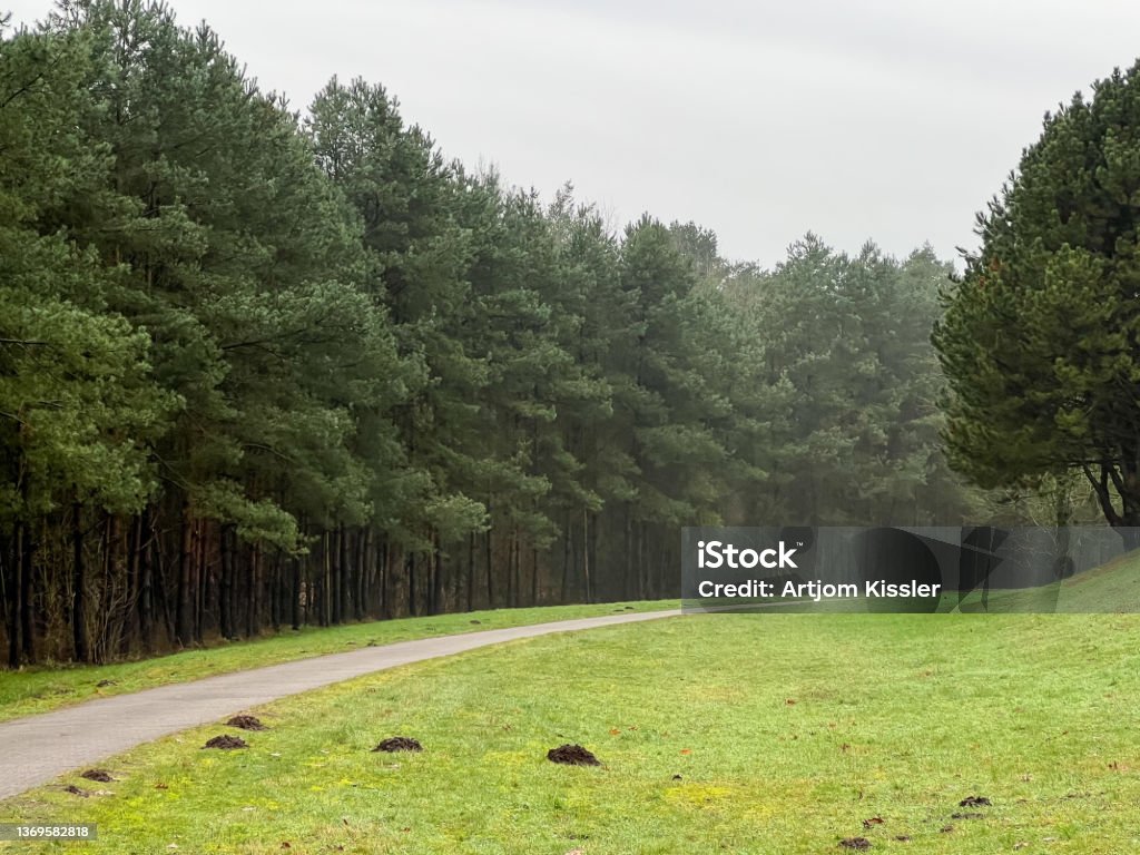 A path next to a forest and a meadow in winter in rainy weather. Autumn Stock Photo