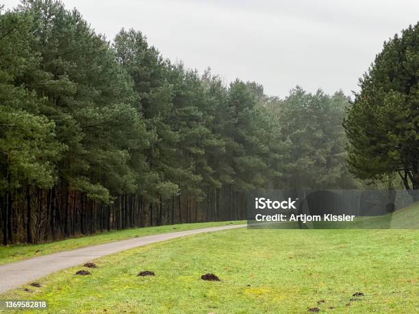 A Path Next To A Forest And A Meadow In Winter In Rainy Weather Stock Photo - Download Image Now