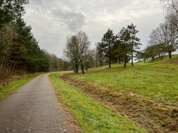 istock A path next to a forest and a meadow in winter in rainy weather. 1369584608