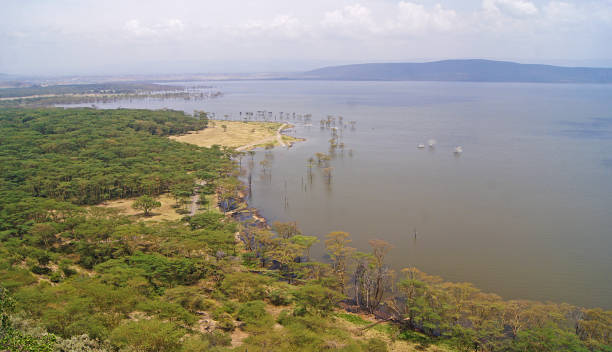 istock Panoramic view of Lake Nakuru, Kenya 1369587063