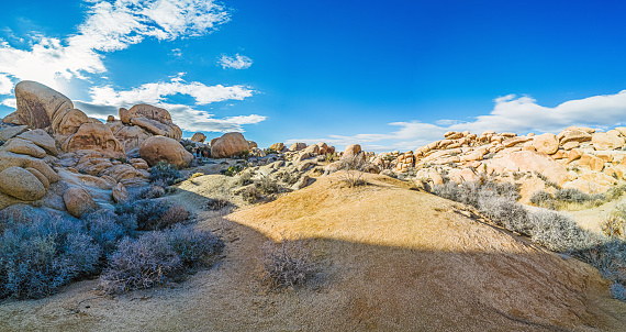 Picture of Arch Rock area in the Yoshua Tree National Park with cactus trees in California during the day in winter time