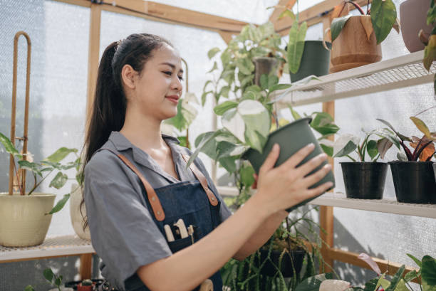 istock Asian woman working in greenhouse 1369588154