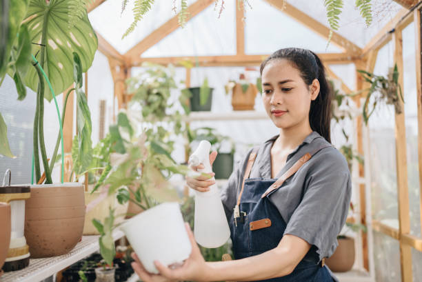 istock Asian woman working in greenhouse 1369588193