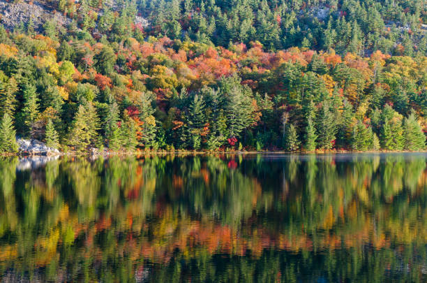 istock Sunrise above forest lake 1369590005