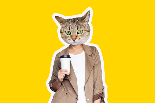 A young successful business 
woman headed by cat head holds a white paper cup of coffee or tea isolated on a color yellow background. Trendy collage in magazine style. Contemporary art. Modern design