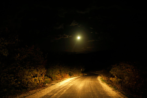 Landscape of night sky and bright full moon above on the road