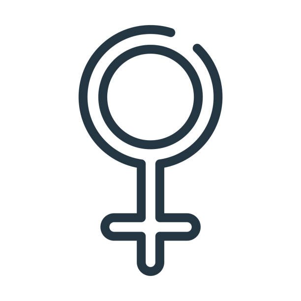 female symbol thin line icon. female, human linear icons from signs concept isolated outline sign. Vector illustration symbol element for web design and apps.. female symbol thin line icon. female, human linear icons from signs concept isolated outline sign. Vector illustration symbol element for web design and apps. female gender symbol stock illustrations