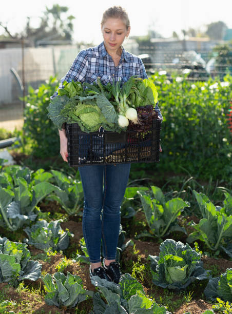 istock Female gardener standing with harvest 1369596248