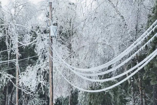 Power lines weighed down by ice during an intense ice storm.